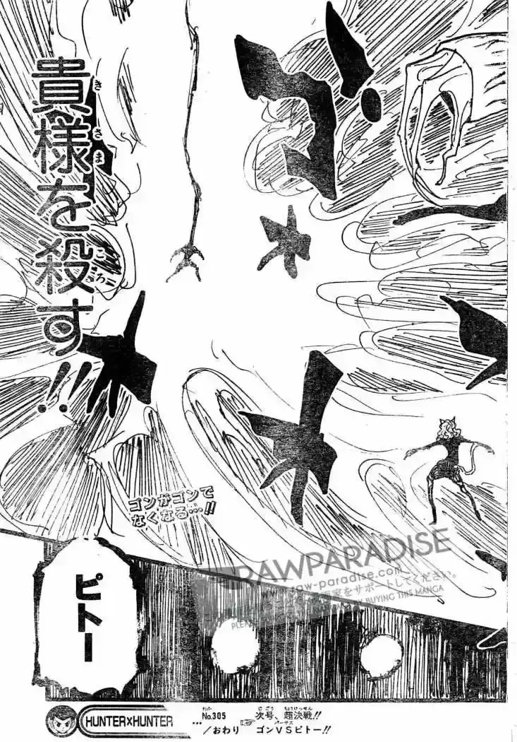 Hunter x Hunter Capítulo 305 - Page 35