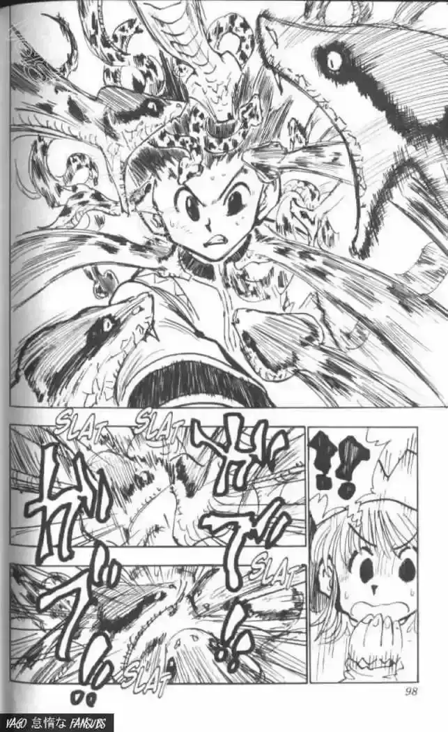 Hunter x Hunter Capítulo 31 - Page 13