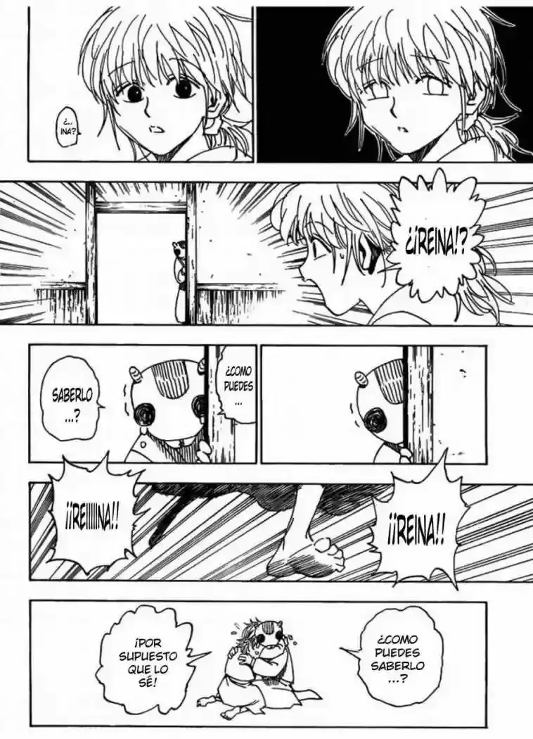 Hunter x Hunter Capítulo 315 - Page 10