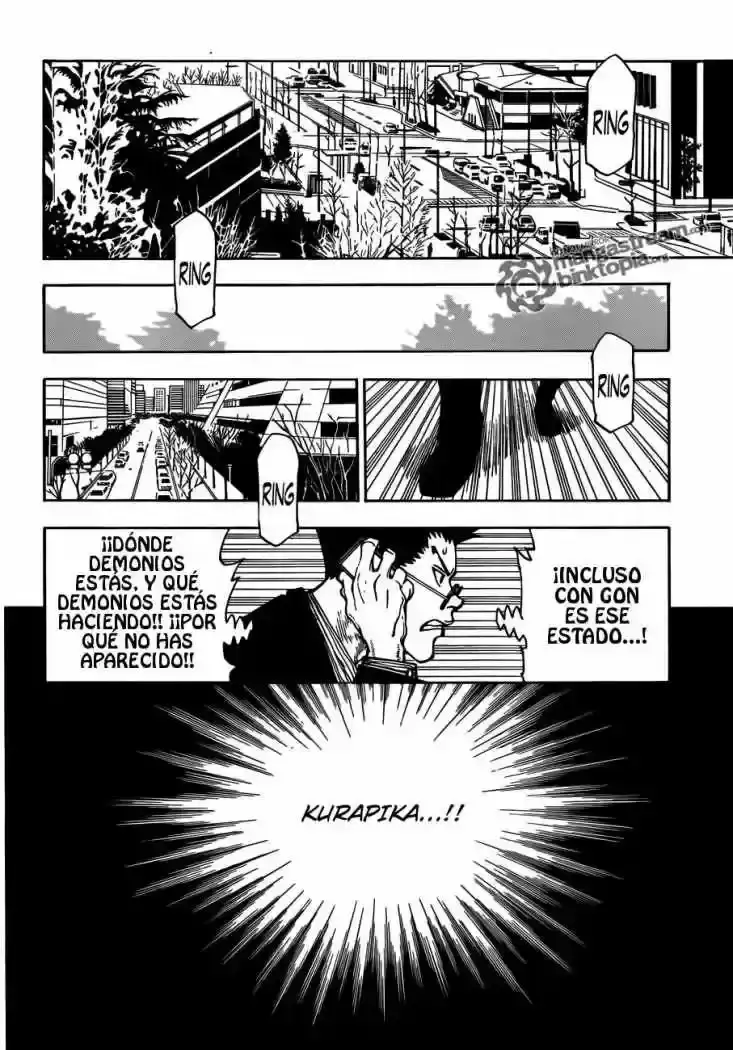 Hunter x Hunter Capítulo 325 - Page 11