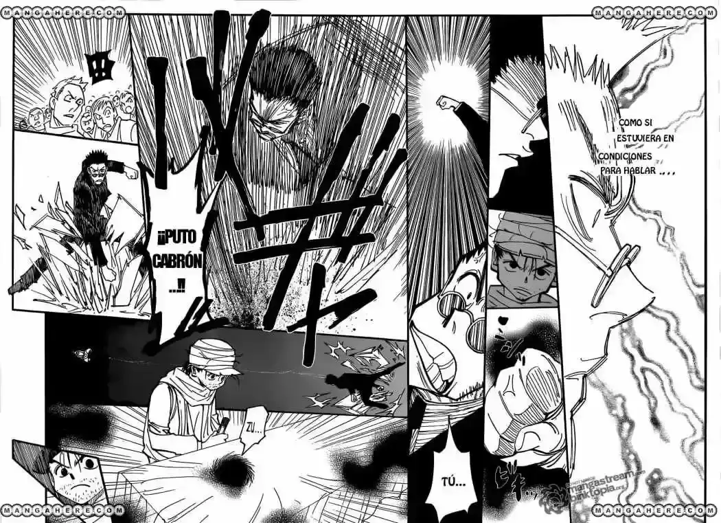 Hunter x Hunter Capítulo 325 - Page 16