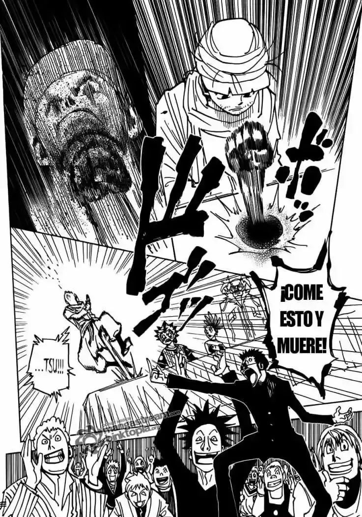 Hunter x Hunter Capítulo 325 - Page 17