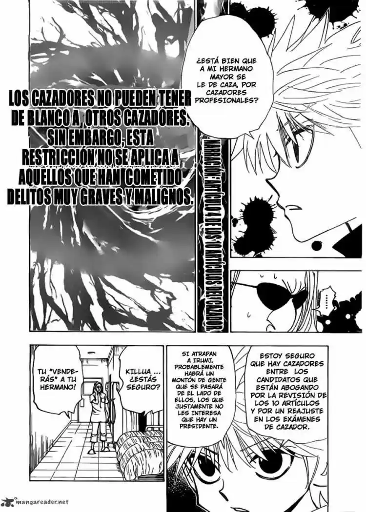 Hunter x Hunter Capítulo 328 - Page 17
