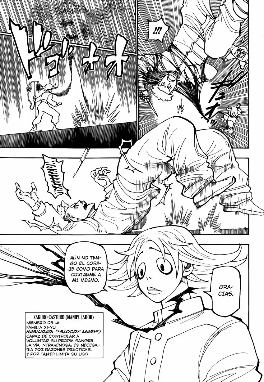 Hunter x Hunter Capítulo 390 - Page 16