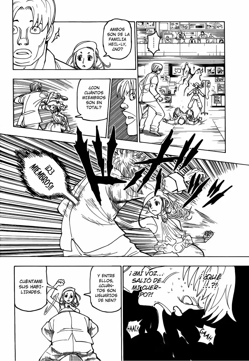 Hunter x Hunter Capítulo 390 - Page 17