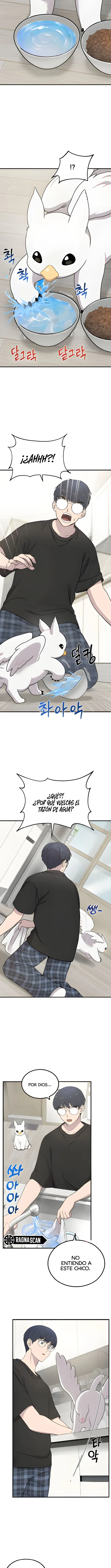 ¡Hola, Pequeño Grifo Peludo! Capítulo 2 - Page 12
