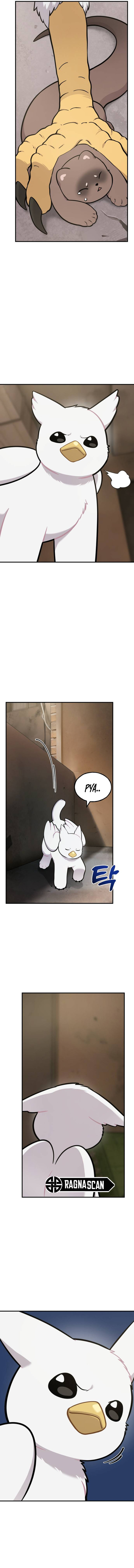 ¡Hola, Pequeño Grifo Peludo! Capítulo 39 - Page 12