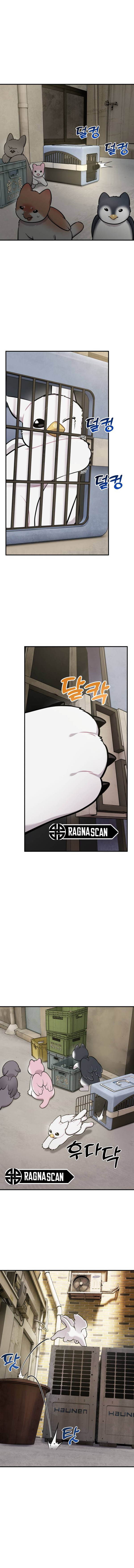 ¡Hola, Pequeño Grifo Peludo! Capítulo 39 - Page 9