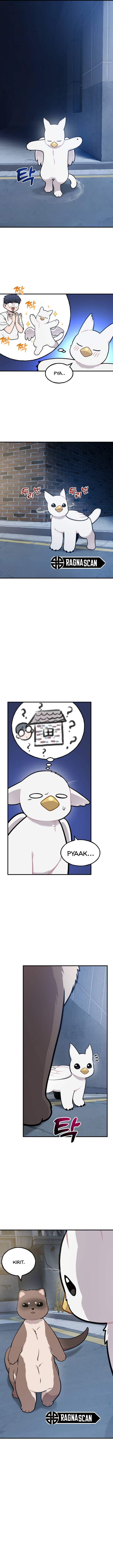 ¡Hola, Pequeño Grifo Peludo! Capítulo 40 - Page 12