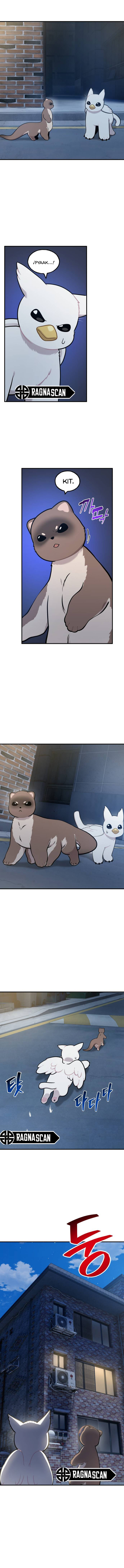¡Hola, Pequeño Grifo Peludo! Capítulo 40 - Page 13