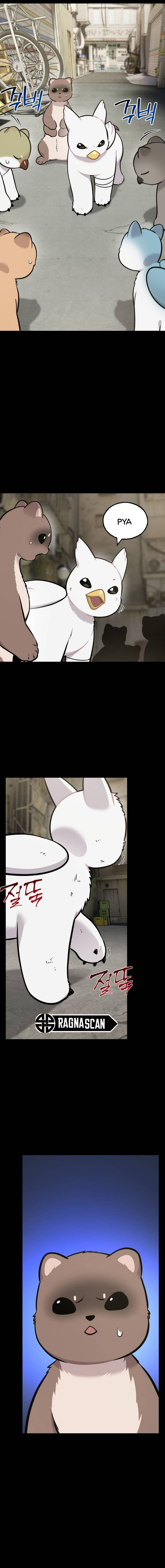 ¡Hola, Pequeño Grifo Peludo! Capítulo 43 - Page 4