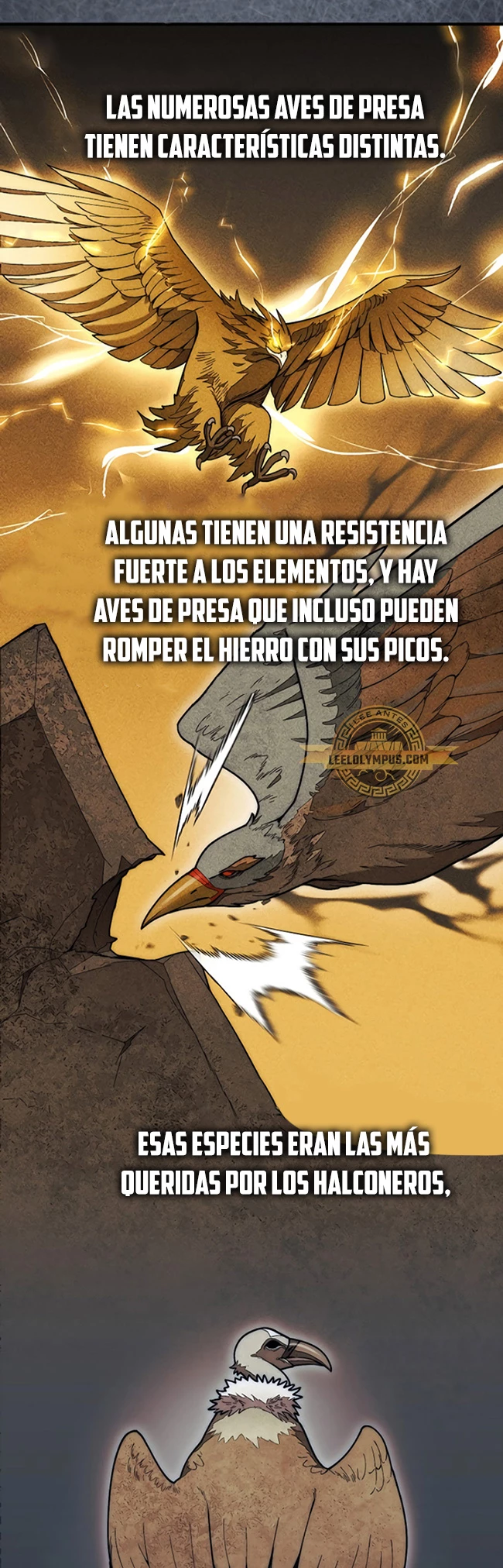 La 31ma pieza revierte la situación Capítulo 50 - Page 47