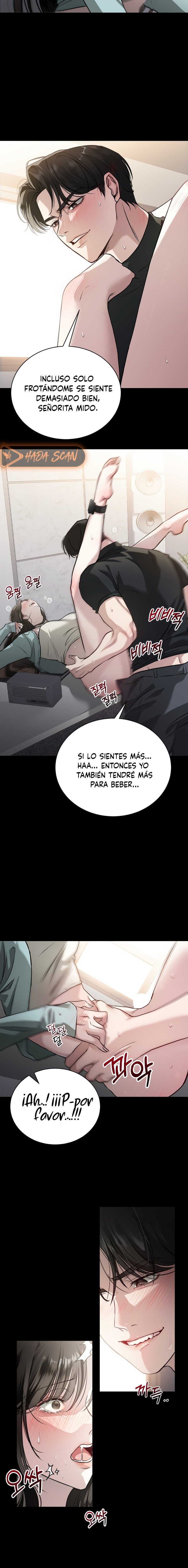 El Perro Salvaje Sueña Con Su Presa Capítulo 1 - Page 5